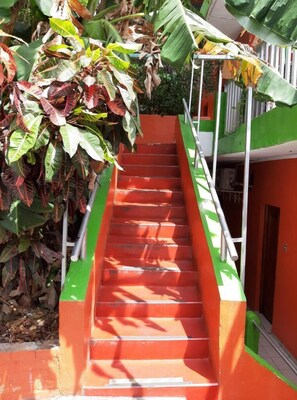 Ngoại thất