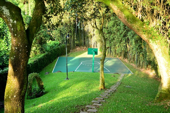 Basketball court