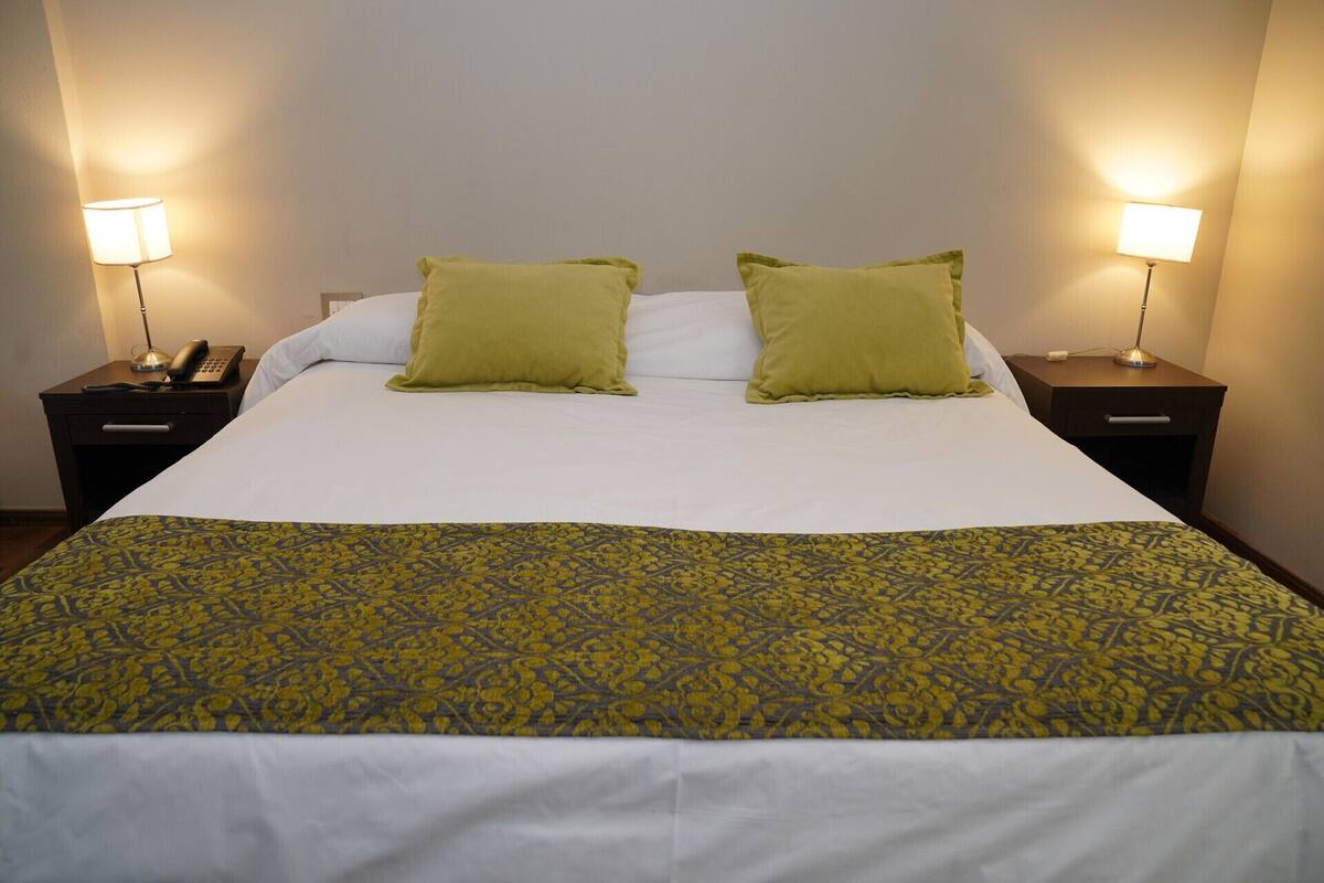 A hotel room with a bed, two green pillows, a patterned bedspread, and two bedside lamps.