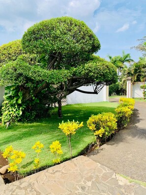 Property amenity - Hotel Casa del Sol (Managua)