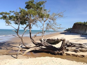 A beach with a large fallen tree trunk and a cliff in the background. - Pousada dos Girassois (Prado)