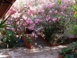 Instalaciones deportivas