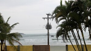 Vista costera con un muro amarillo, un portón de madera y palmeras.
