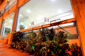 A window with a metal railing and chairs, surrounded by lush indoor plants.