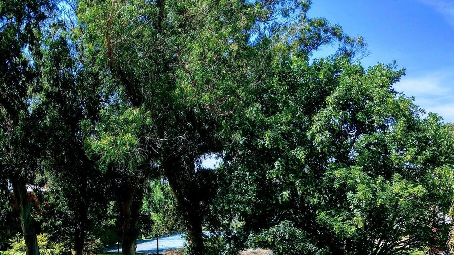 Hotel Apartur Mar del Plata