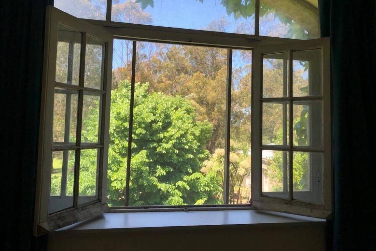 A bay window with a view of a lush green tree outside.
