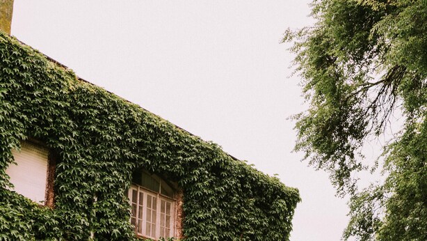 A building covered with ivy, a door, and a well-maintained lawn. - Hotel Apartur Mar del Plata (Mar del Plata)