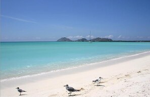 Beach - Acquamarina Rasqui Island Chalet (Los Roques)