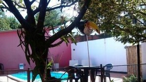 A backyard with a swimming pool, a patio table, and a tree. - Posada La Alemana (Puerto Iguazu)