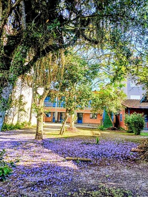 A courtyard with a tree-lined pathway, a building with blue doors, and purple flowers on the ground. - Pousada Natureza Florianopolis (Florianópolis)