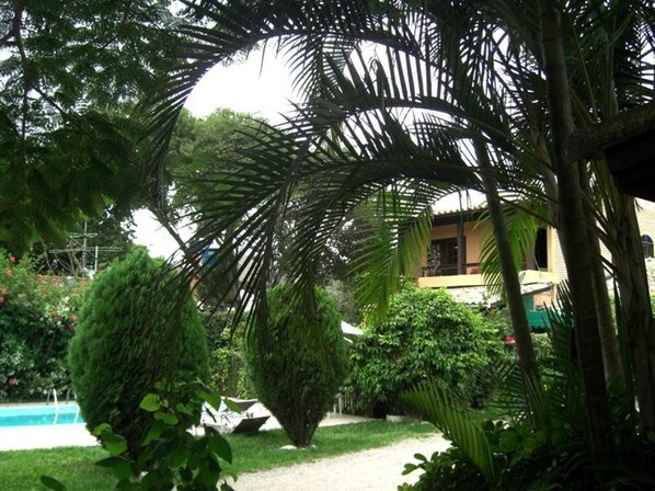 A lush garden with a swimming pool, palm trees, and a building with a yellow facade.