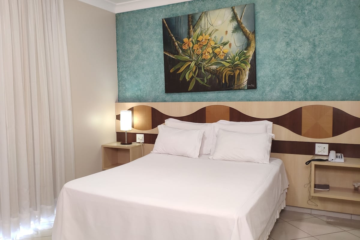 Habitación doble de lujo, vista al lago | 1 habitación, minibar, escritorio y wifi gratis 
