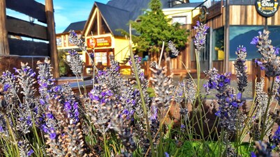 호스텔 란초 그란데