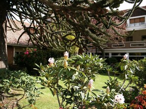 Un jardín con diversas plantas y un edificio al fondo.