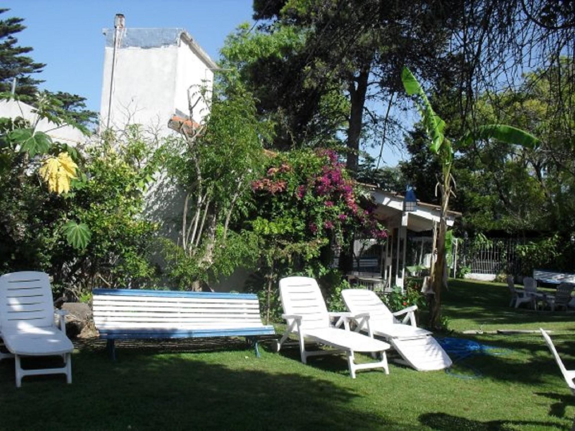 Jardí