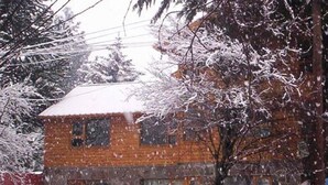 A brick building with multiple windows, surrounded by snow-covered trees. - Apart Hotel Tierra Nativa (San Martín de los Andes)