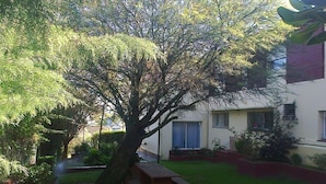 A tree-lined courtyard with a bench area and a building with a window. - Colonia Aoma Villa Carlos Paz (Villa Carlos Paz)