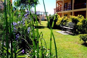 A garden with a bench, bamboo plants, and purple flowers.
