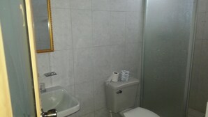 Une salle de bain avec des toilettes, un lavabo et une douche.