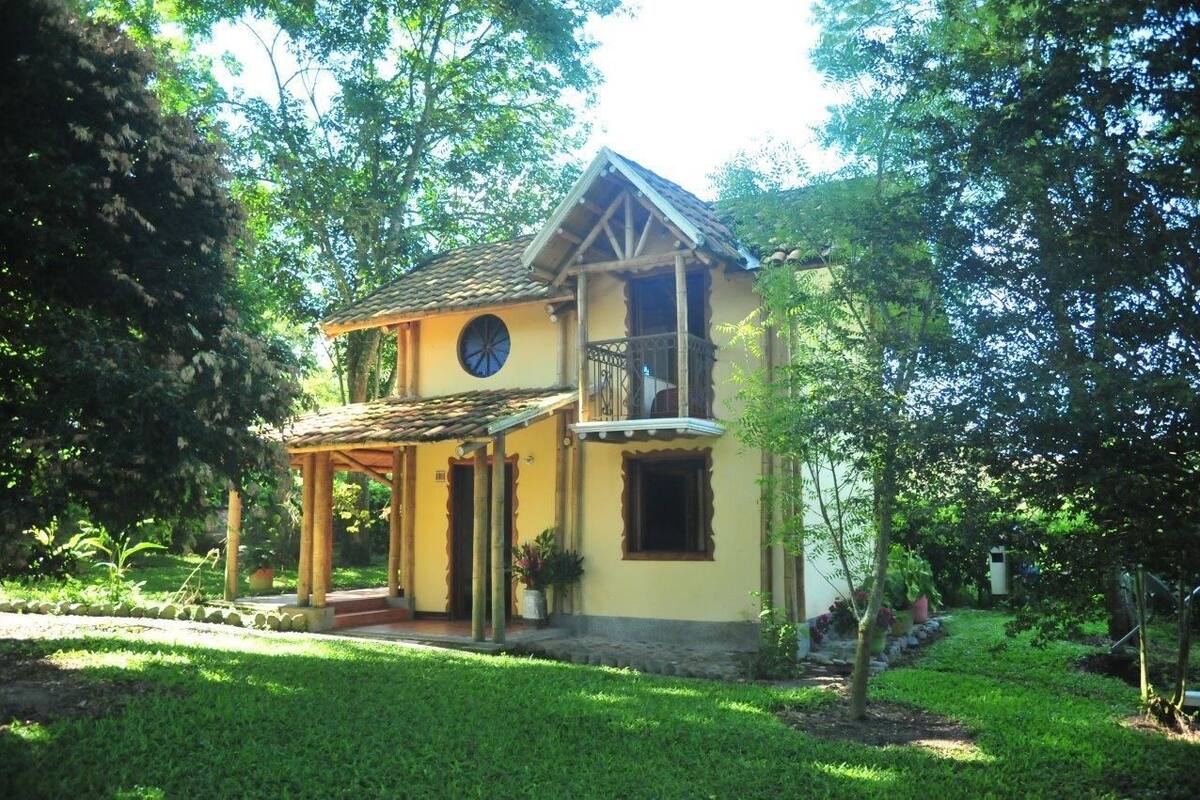Garden view