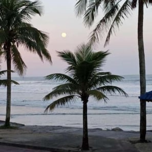 A beach with palm trees and a view of the ocean. - Hotel Alaska (Peruíbe)