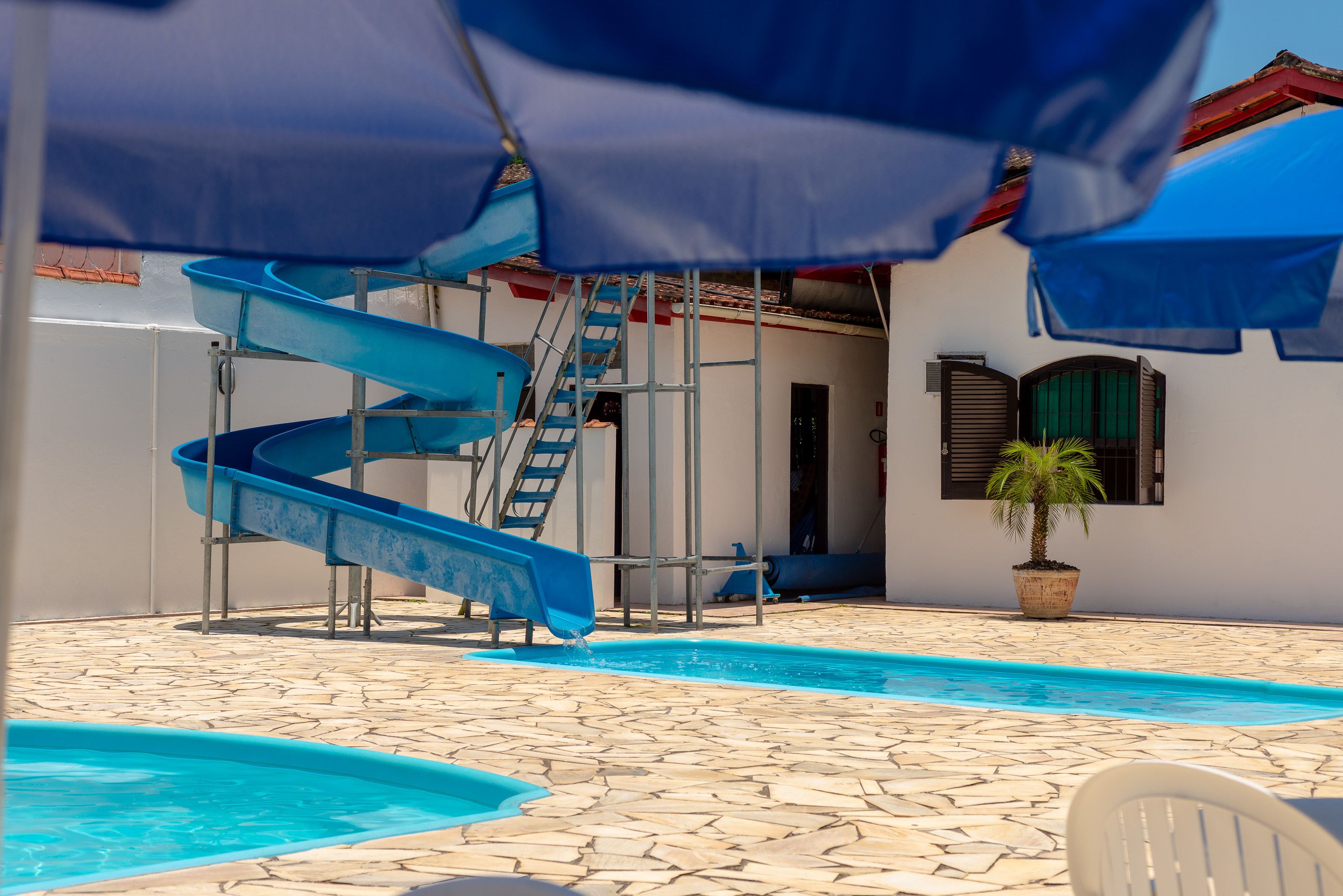Zona de piscina con un tobogán de agua azul, una piscina pequeña y una palmera en maceta.