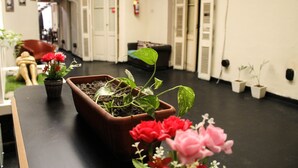 Een receptiegedeelte met plantenpotten, een bank en een stoel.