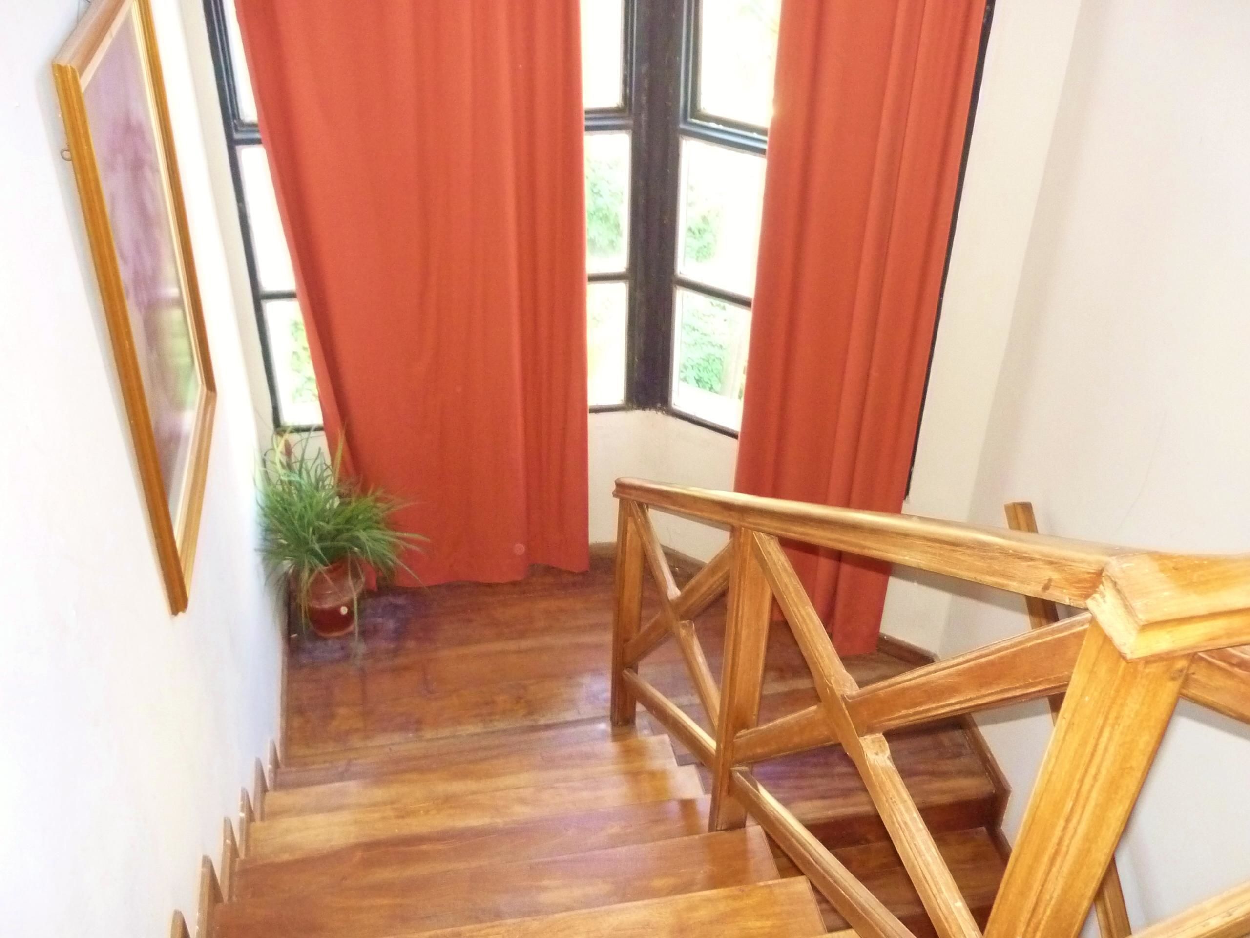 Un escalier en bois avec une rampe, des rideaux rouges et une plante en pot.