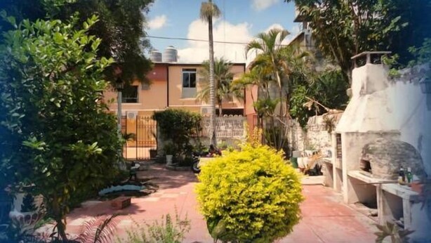 Un barrio residencial con una casa, un jardín pequeño y una palmera.