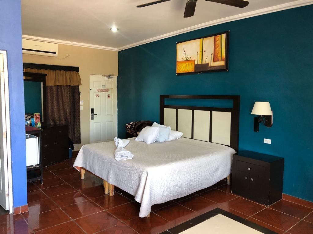 Superior Studio, 1 Katil Raja (King), City View | Peralatan tempat tidur premium, gebar bulu kapas 