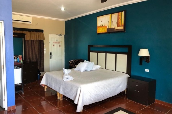 Superior Studio, 1 Katil Raja (King), City View | Peralatan tempat tidur premium, gebar bulu kapas