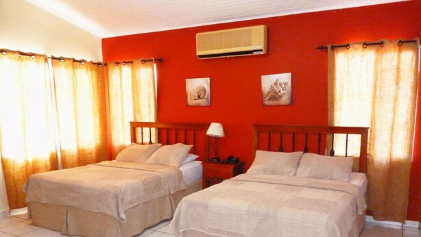 Room - THE Green Frog Inn Bed and Breakfast (San Pedro Sula)