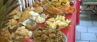 Pousada Manú