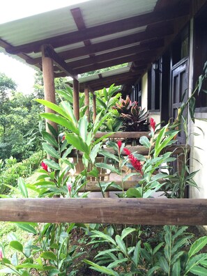 Área da propriedade