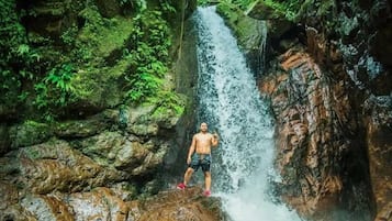 Un hombre está de pie sobre una roca junto a una cascada en un área boscosa.