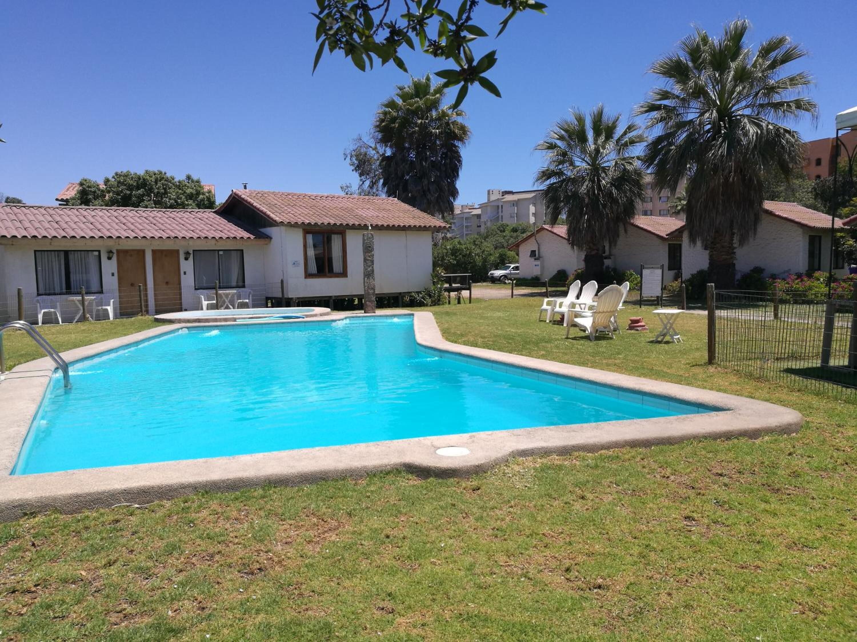 Una piscina con borde de baldosas, rodeada de césped y palmeras. Hay sillas de descanso blancas y una pequeña mesa cerca de la piscina.