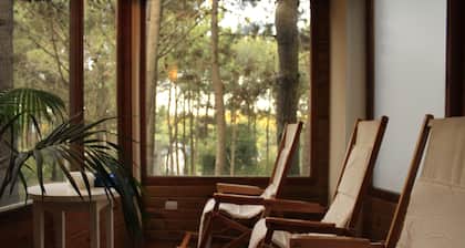 La MansiĂłn del Bosque