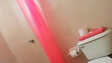 Shower, towels, soap, toilet paper