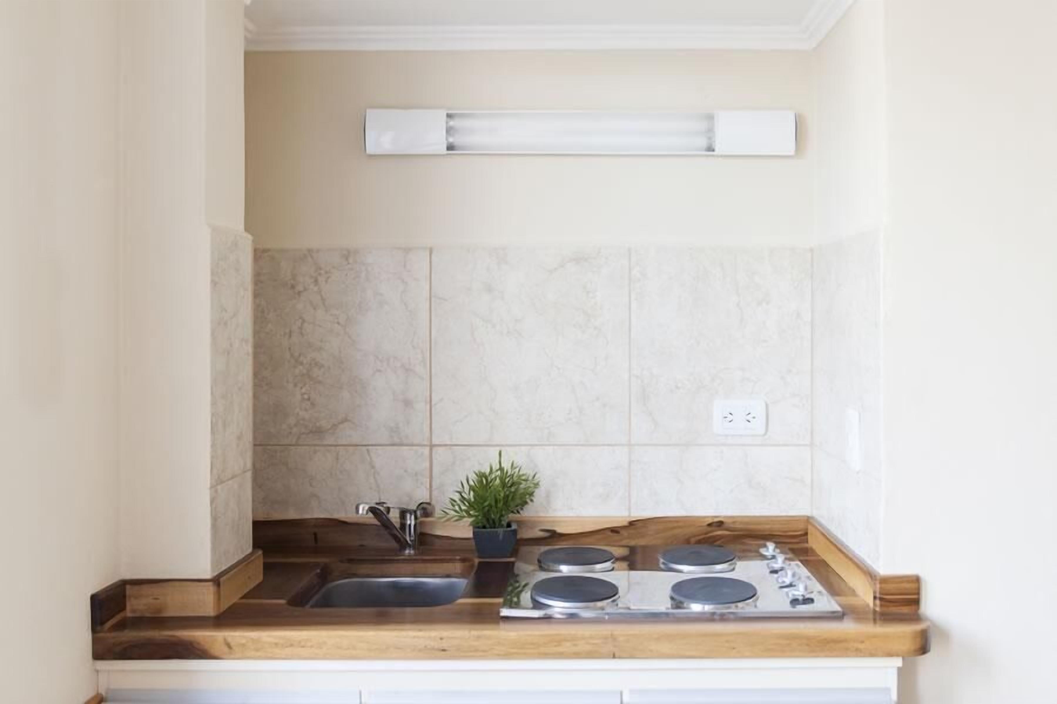 A kitchen with a wooden countertop, a sink, a stove, and a potted plant.