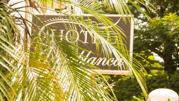 A sign with the words "HOTEL" and "Hacienda" partially obscured by palm fronds.