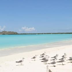 Beach nearby, white sand, beach shuttle