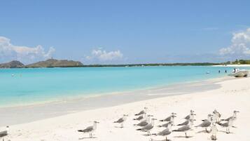 Playa en los alrededores y playa de arena blanca