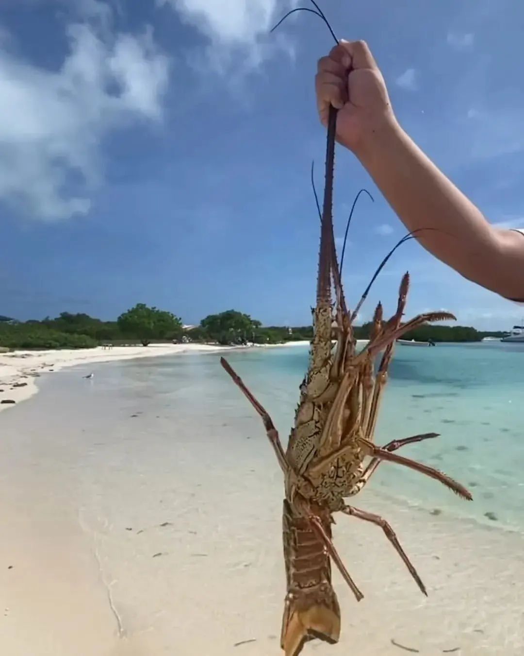 Foto - Posada Guaripete
