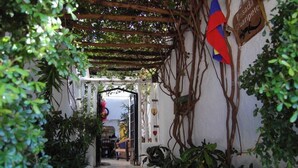 Een smalle gang met een houten pergola erboven, omringd door weelderige begroeiing en een witte muur met een bord waarop 