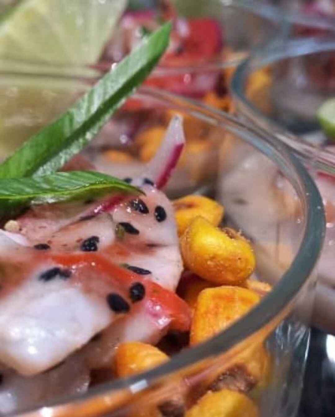 Foto - Posada Guaripete