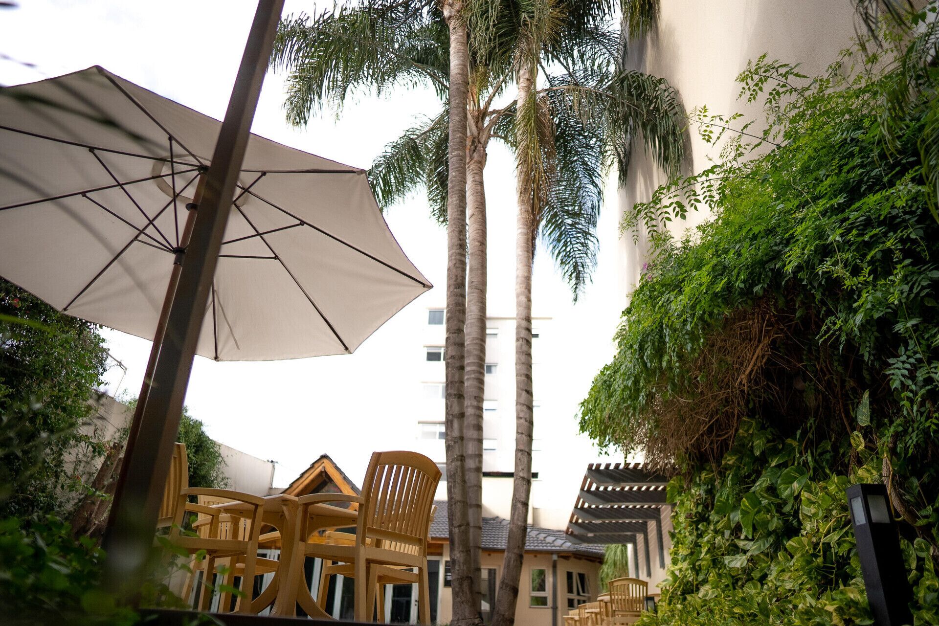 Un espace patio agrémenté d’un grand parasol, de chaises en bois et de hauts palmiers.