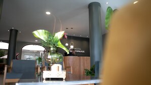 Een hotel receptie met een houten balie, een receptioniste en een grote kamerplant.