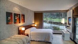 Quarto de hotel moderno com duas camas, uma janela ampla com vista para uma paisagem natural e obras de arte na parede.