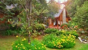 Uma cabana rústica cercada por vegetação exuberante e plantas floridas.