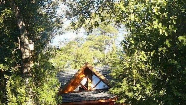 Uma cabana rodeada por folhagem densa, com um caminho de pedra levando à entrada.